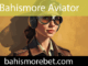Bahismore aviator oyununu güvenle servis etmektedir.